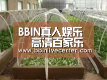 环境展示五