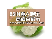 产品名称九