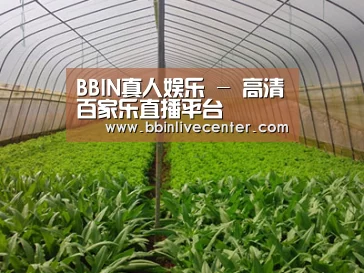 种植基地四