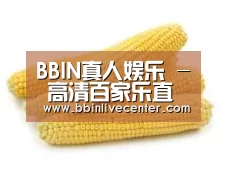 产品名称五