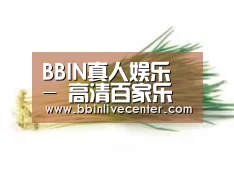 产品名称二