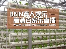 环境展示六