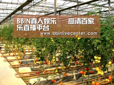 种植基地二