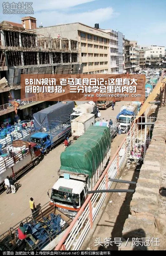 BBIN地址